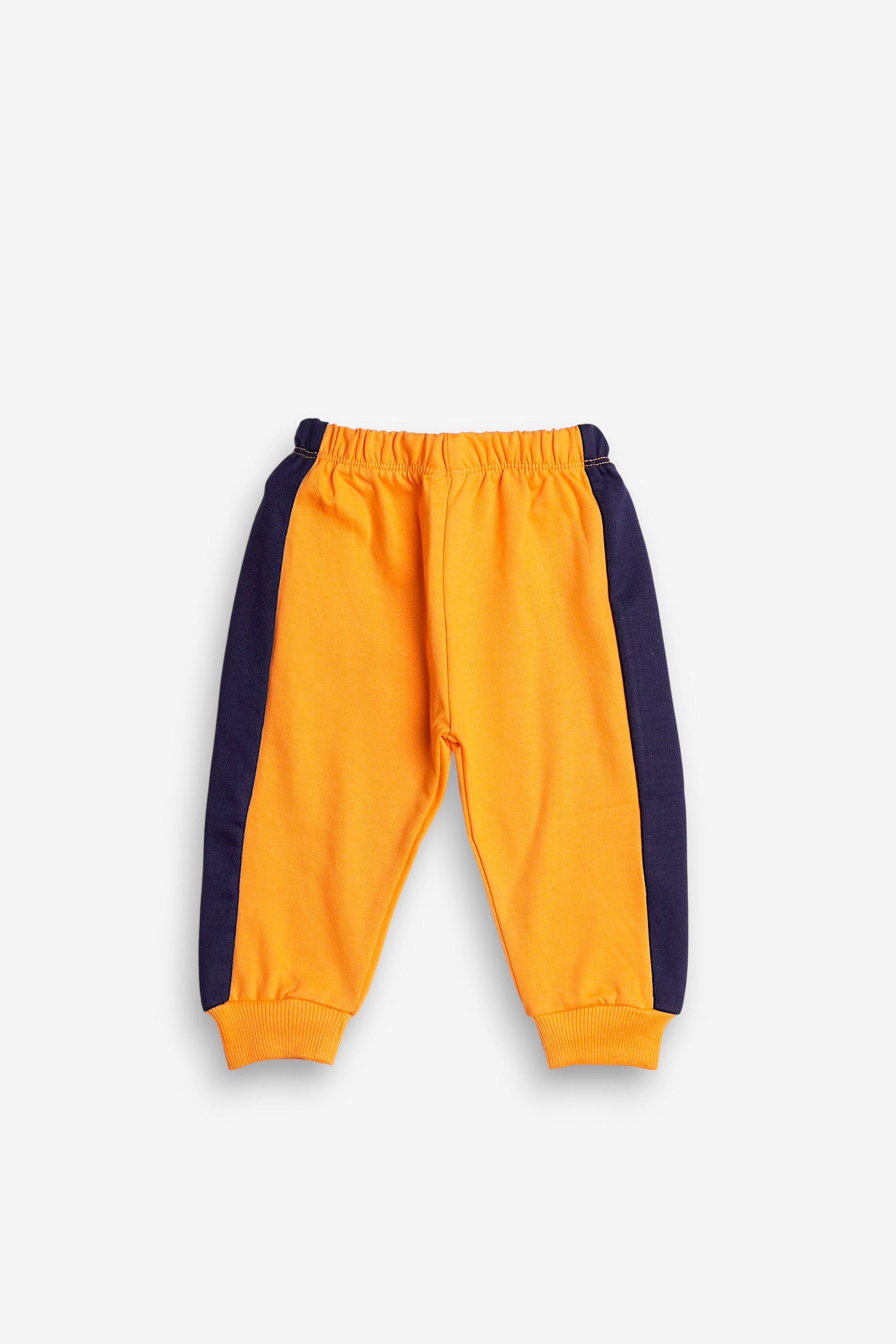 Little Bear Adventure Set