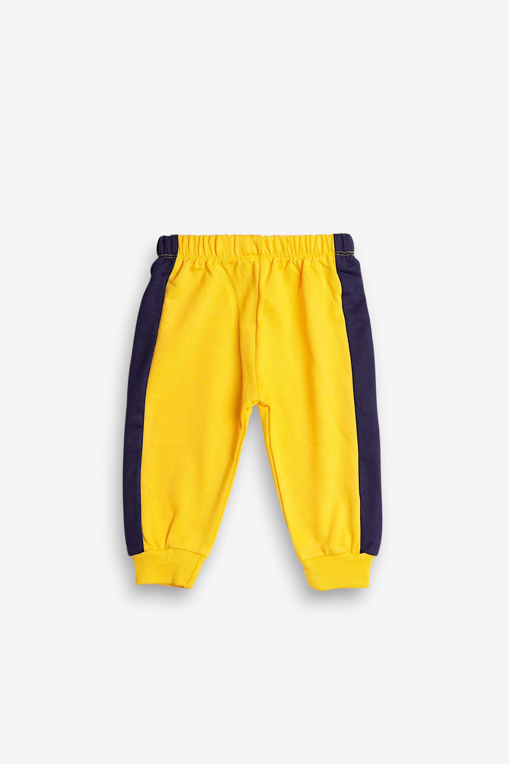 Little Bear Adventure Set